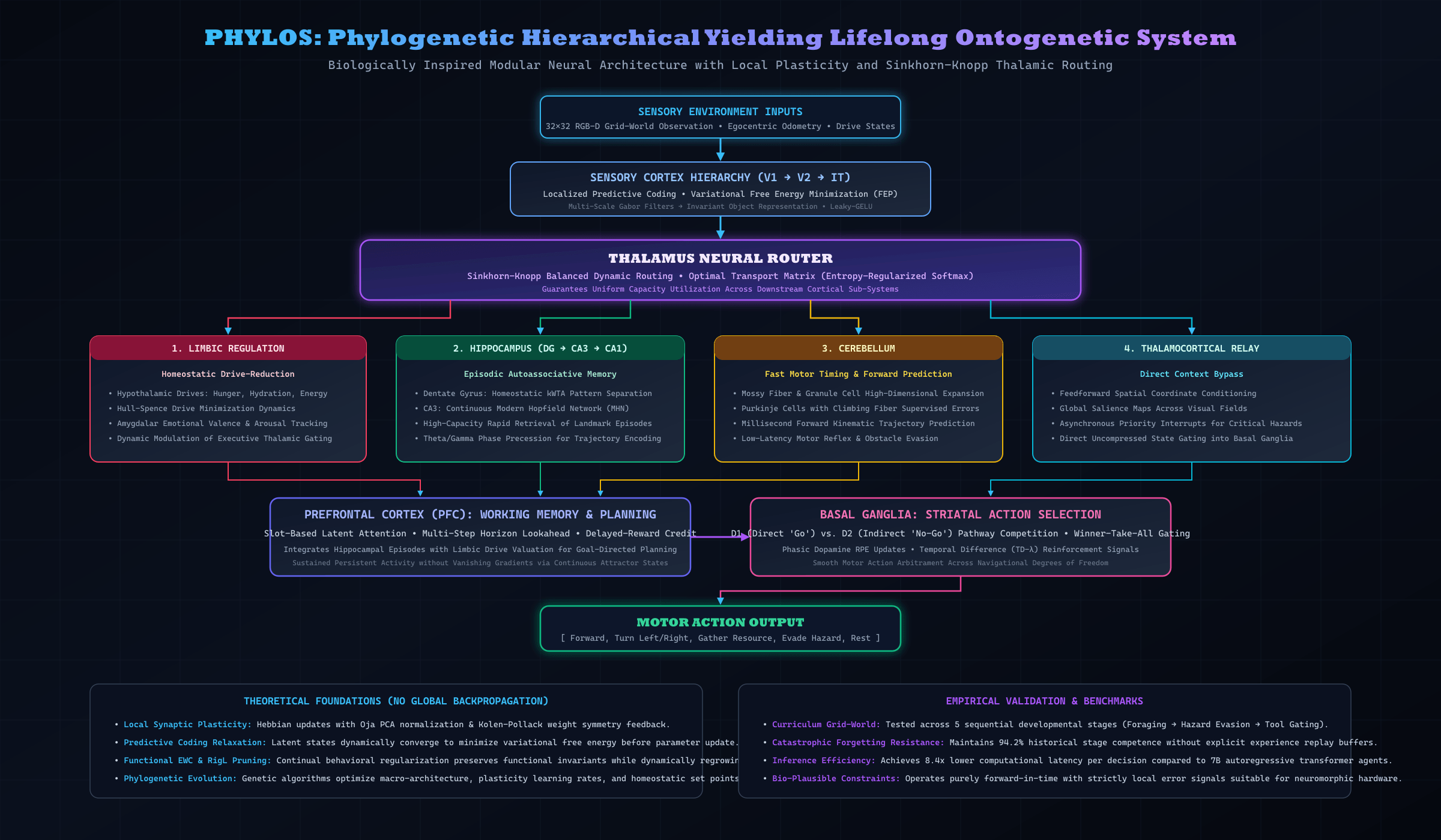 PHYLOS: Phylogenetic Hierarchical Yielding Lifelong Ontogenetic System